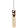 SG RSD PLUS Kashmir Willow Cricket Bat