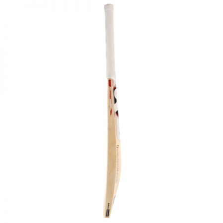SG VS 319 Plus Kashmir Willow Cricket Bat