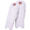 SS Professional Cricket Wicket Keeping Pads