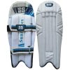 SS Player Series Cricket Wicket Keeping Pads